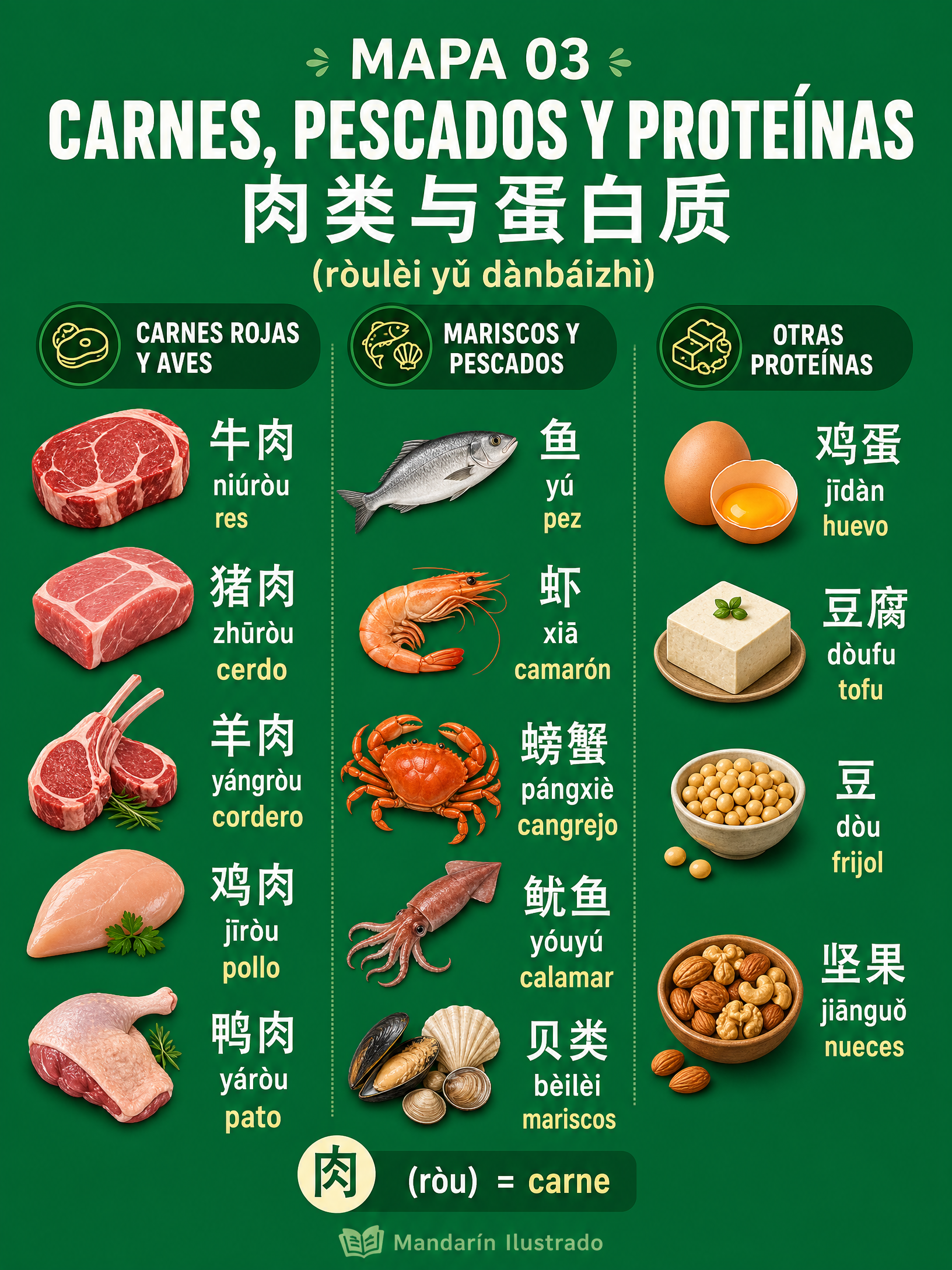 Carnes y Proteínas